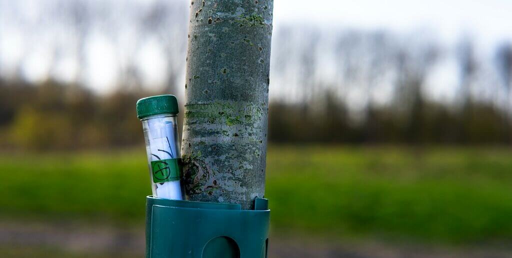Container for geocaching on the trunk of a tree