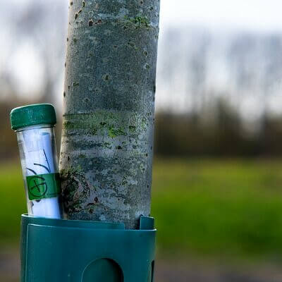 Container for geocaching on the trunk of a tree