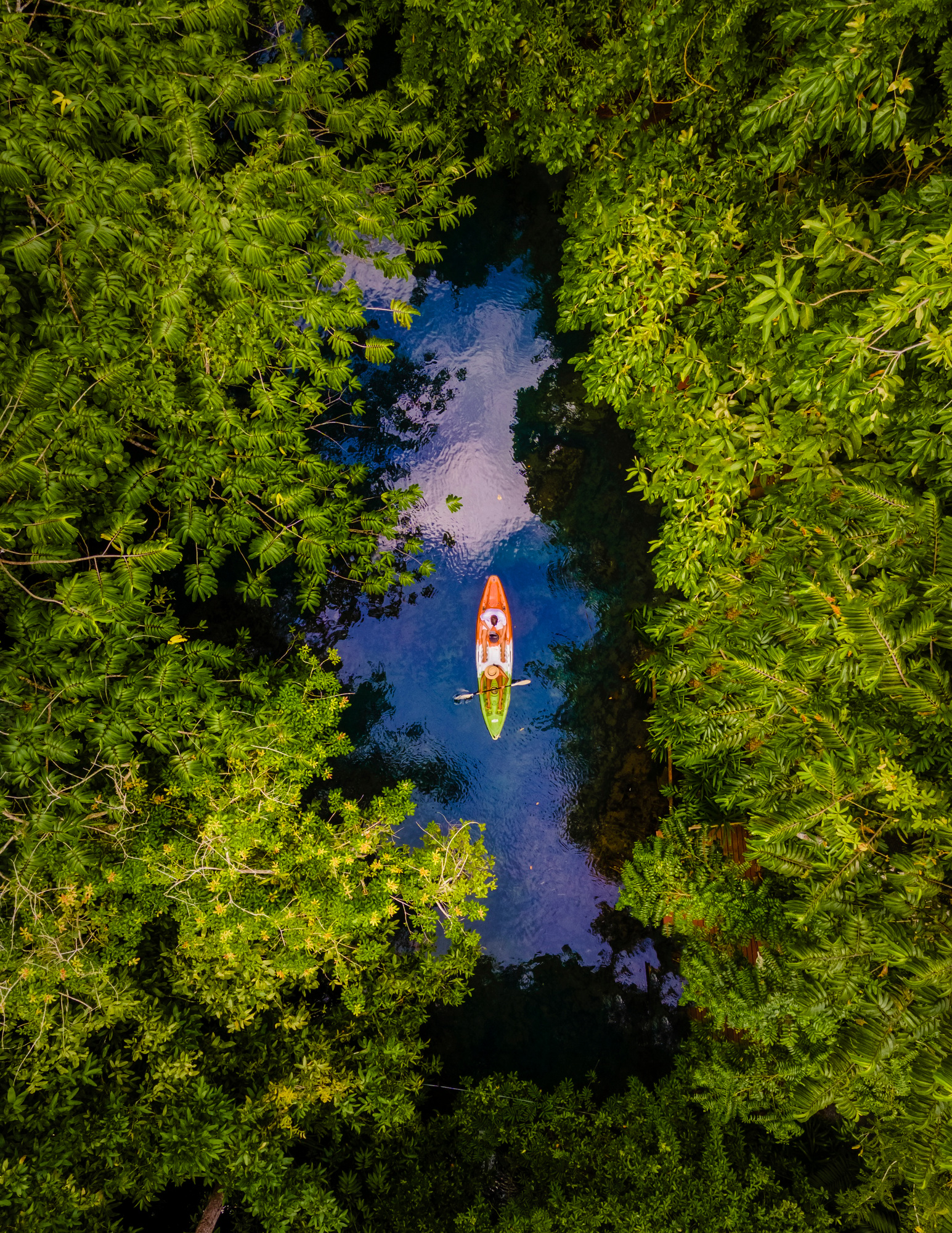 couple in kayak in the jungle of Krabi Thailand, men and woman in kayak at a tropical jungle in